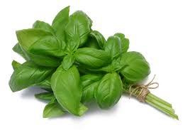 Basil (500g)